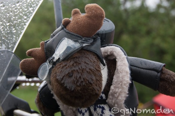 Im Regen stehen gelassen ... (Emma)