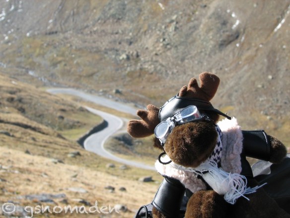 Gustav im Kurevenriasch