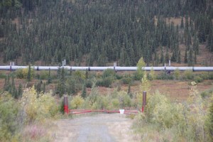 Eins der besagten ROTEn TORE.