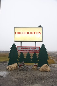 Der Prudhoe Bay National Forrest