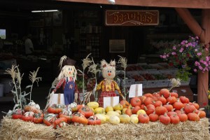 Kürbisvielfalt am Okanagan