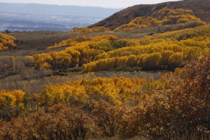 Herbstimpressionen am Highway 12