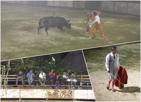 Processed with MOLDIV