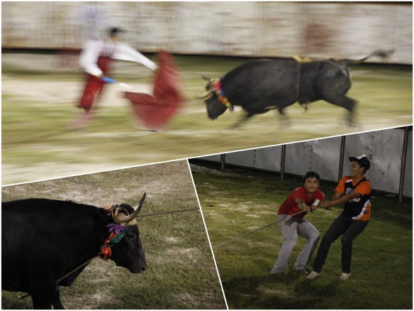 Processed with MOLDIV