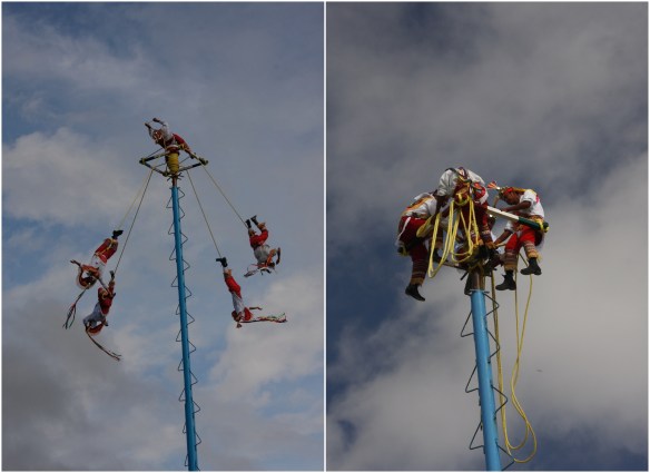 Processed with MOLDIV