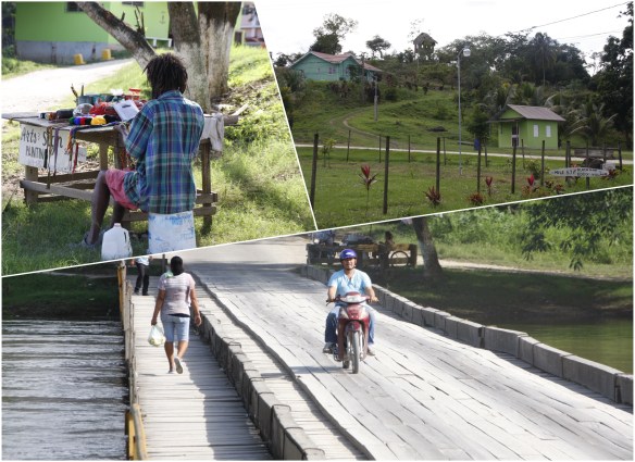 Processed with MOLDIV