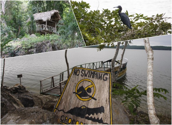 Processed with MOLDIV