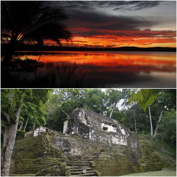 Processed with MOLDIV