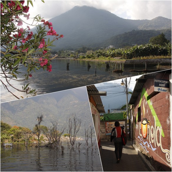 Processed with MOLDIV