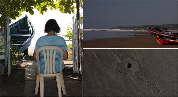 Processed with MOLDIV