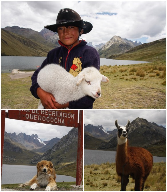 Processed with MOLDIV