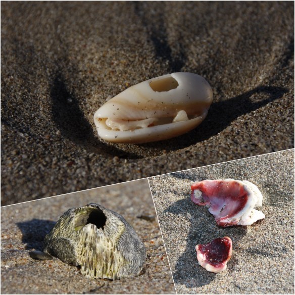 Processed with MOLDIV