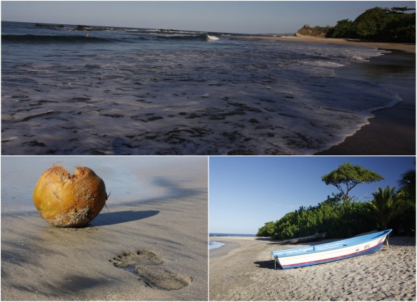 Processed with MOLDIV