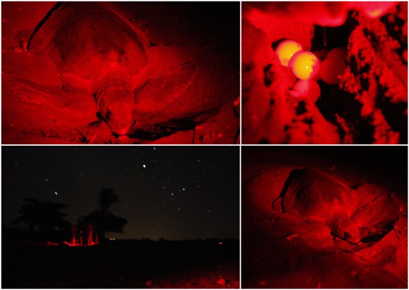 Processed with MOLDIV