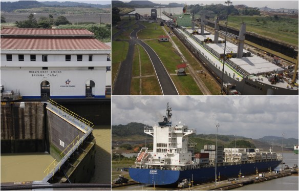 Processed with MOLDIV