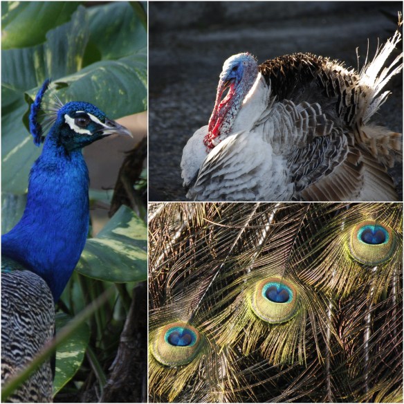 Processed with MOLDIV