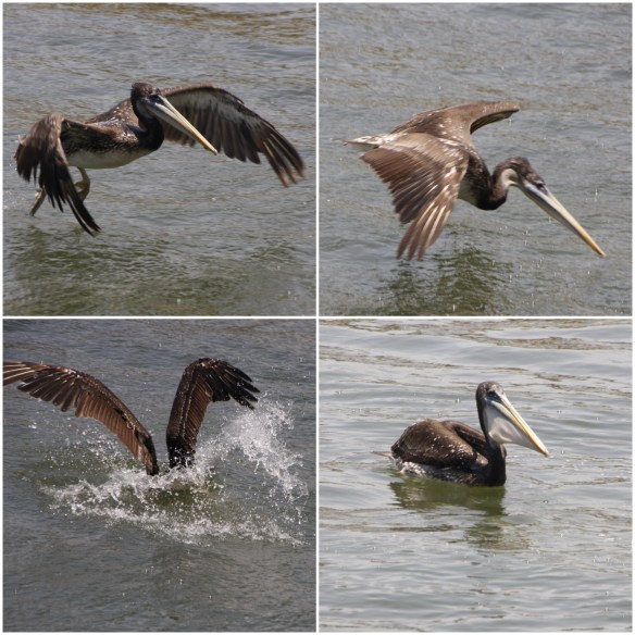 Processed with MOLDIV