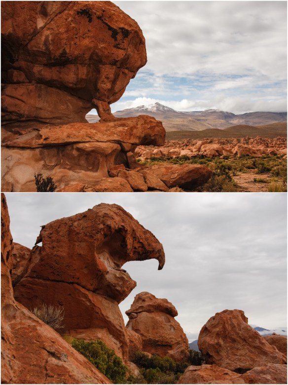 Processed with MOLDIV