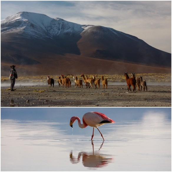 Processed with MOLDIV