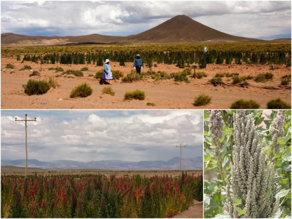 Processed with MOLDIV