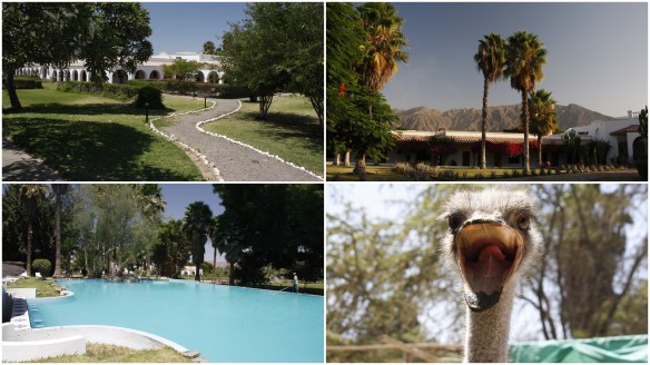 Processed with MOLDIV