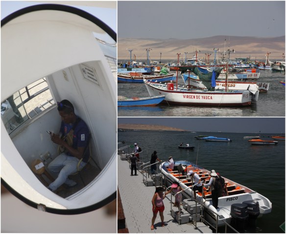 Processed with MOLDIV