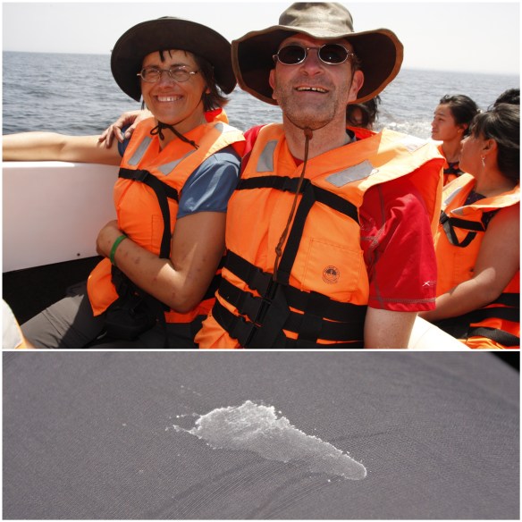 Processed with MOLDIV