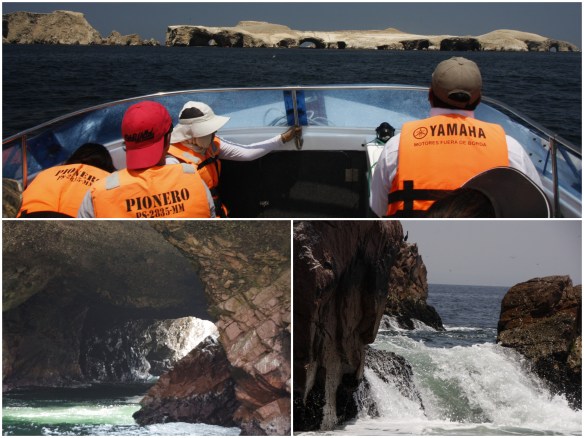 Processed with MOLDIV