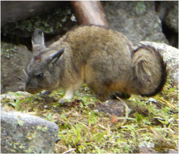 Processed with MOLDIV