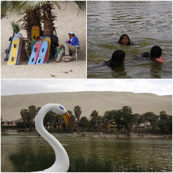 Processed with MOLDIV