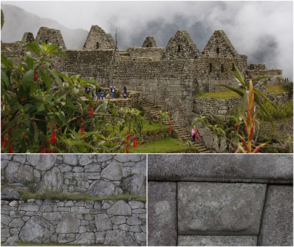 Processed with MOLDIV