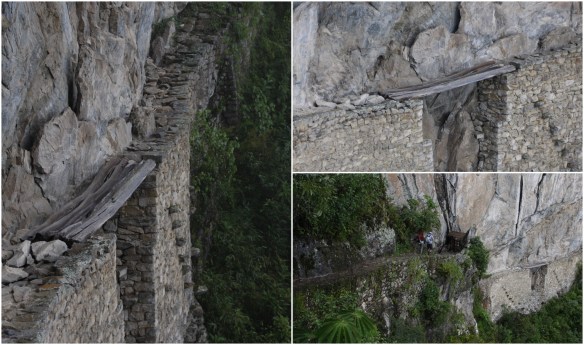 Processed with MOLDIV