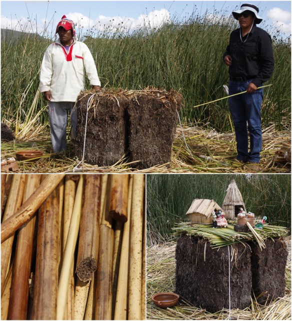 Processed with MOLDIV