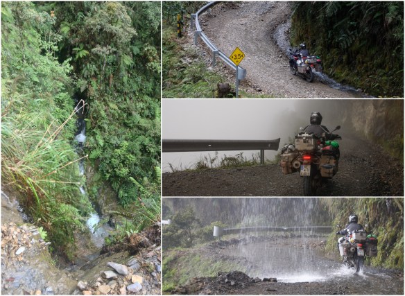 Processed with MOLDIV