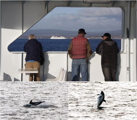 Processed with MOLDIV