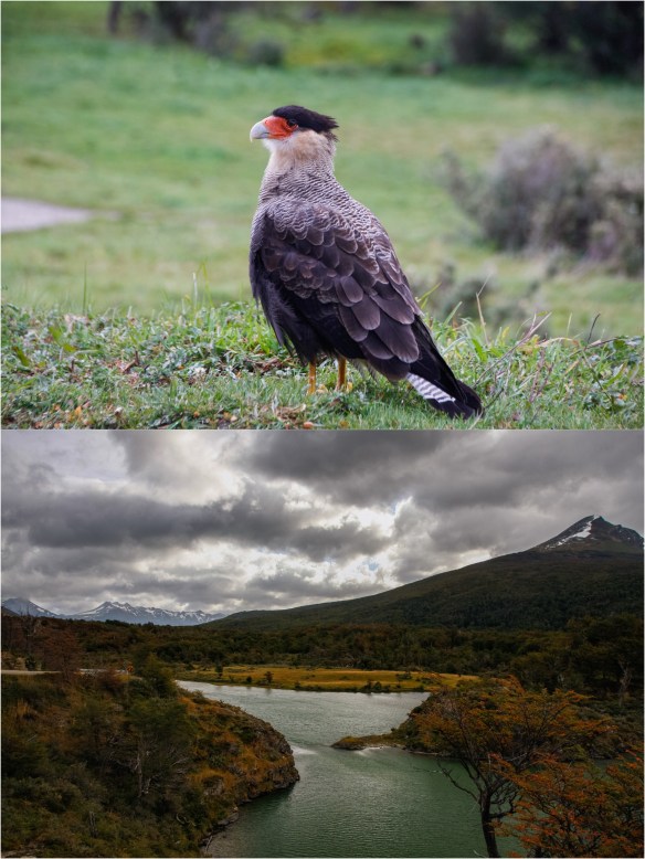 Processed with MOLDIV