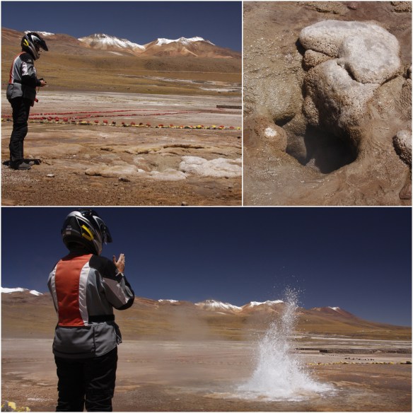 Processed with MOLDIV