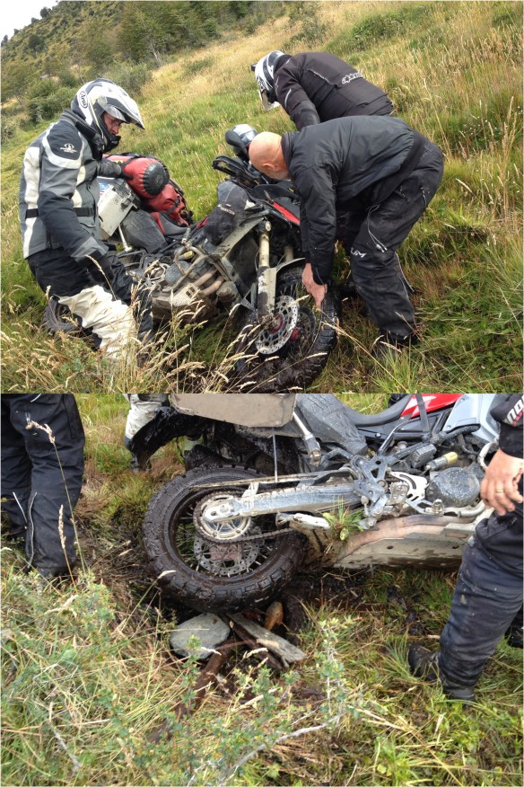 Processed with MOLDIV