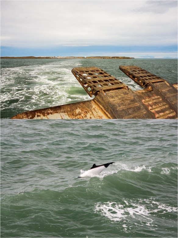 Processed with MOLDIV