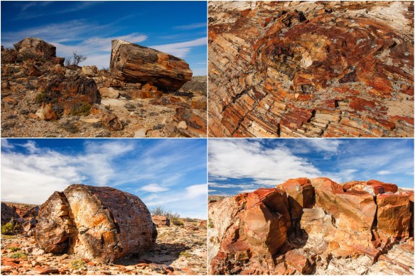 Processed with MOLDIV