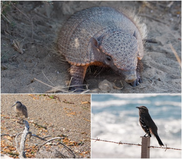 Processed with MOLDIV