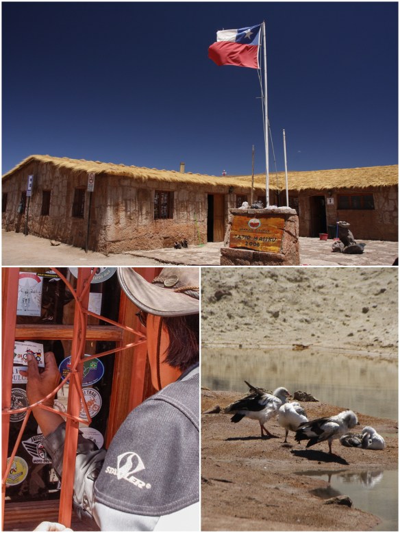 Processed with MOLDIV