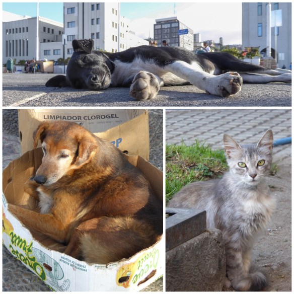 Processed with MOLDIV