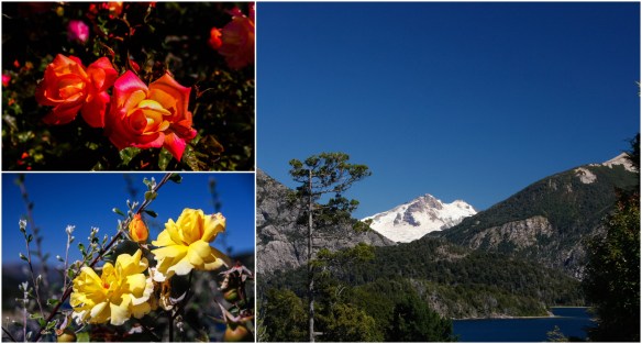 Processed with MOLDIV