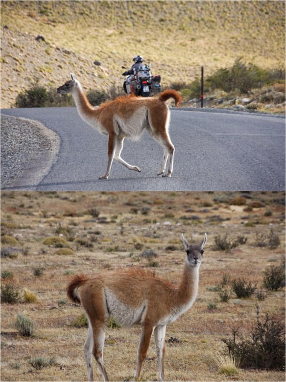 Processed with MOLDIV