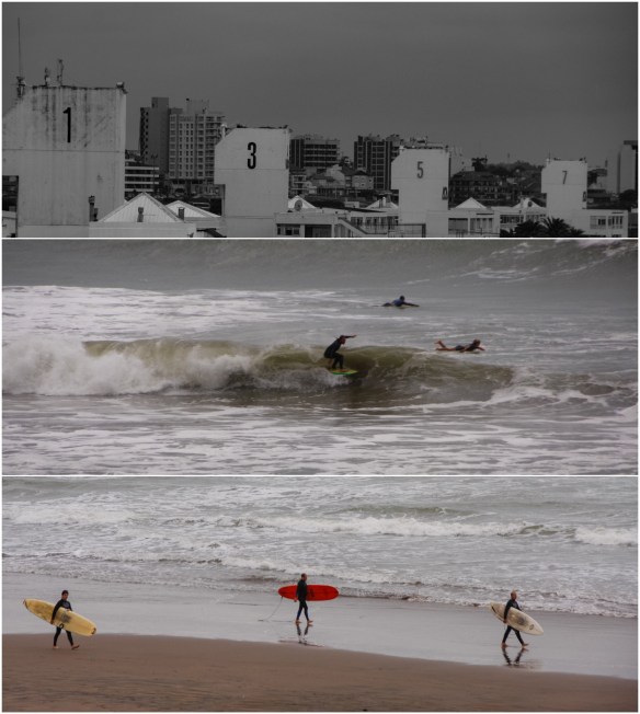 Processed with MOLDIV