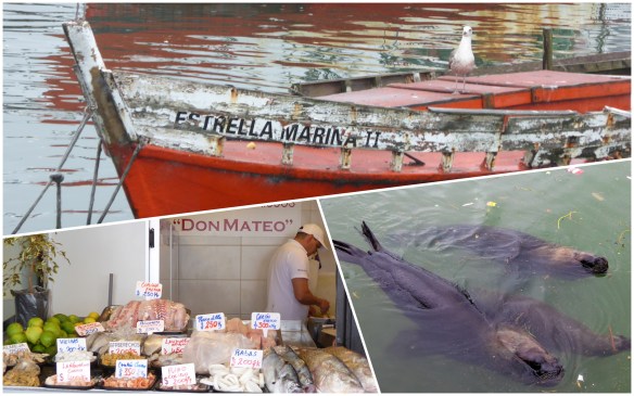 Processed with MOLDIV