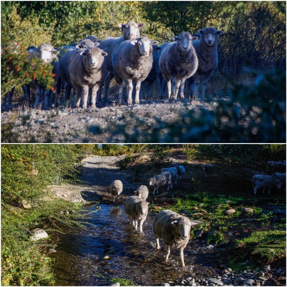 Processed with MOLDIV