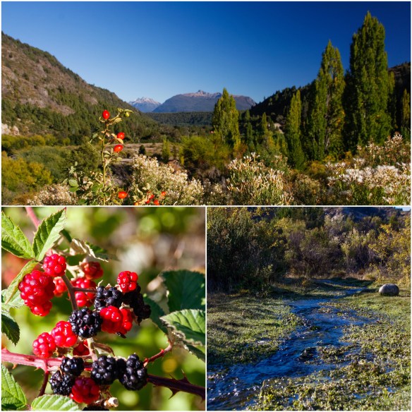 Processed with MOLDIV