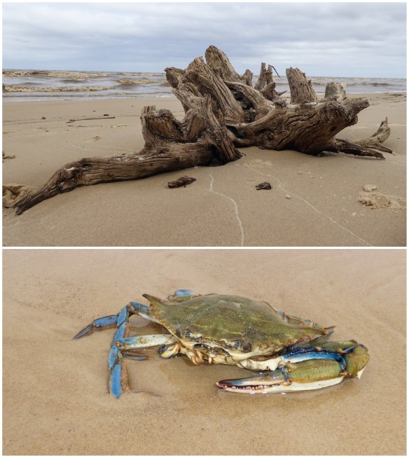 Processed with MOLDIV